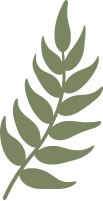 fern-icon